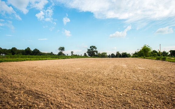 Property listing image: Residential Land, for sale, in Santiniketan, Property ID 1039