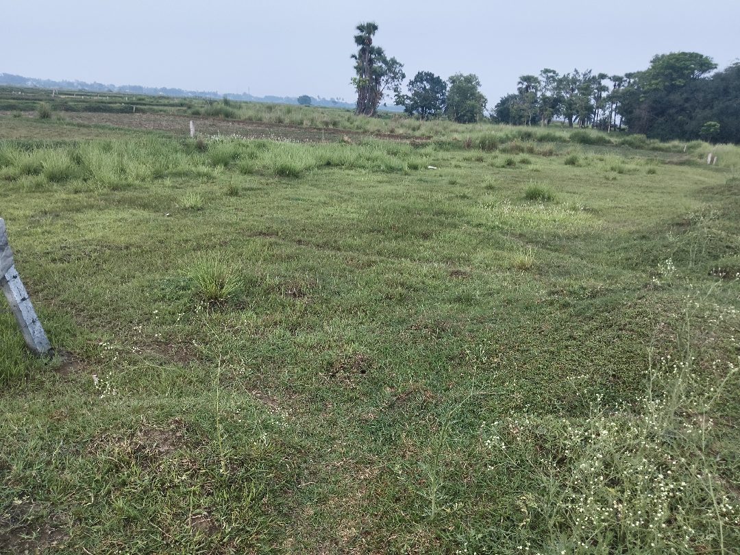 Property listing image: Residential Land, for sale, in Sriniketan, Property ID 1060