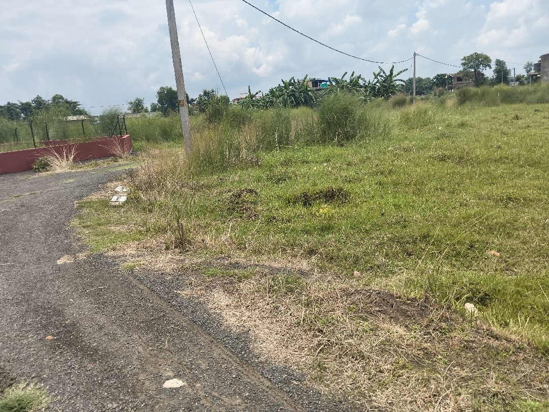 20 Katha Residential Land for Sale in Goalpara | Property ID 1067 | SONDHAN