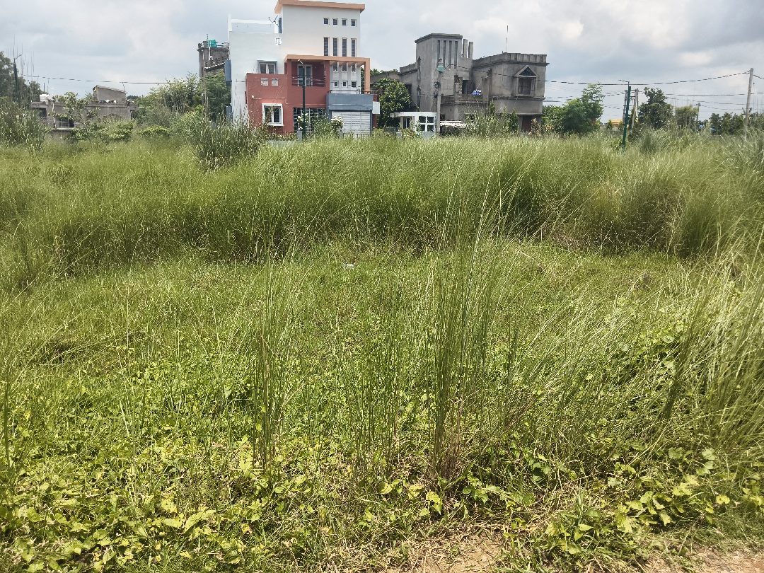 8 Katha Residential Land for Sale in Goal Para | Property ID 1068 | SONDHAN