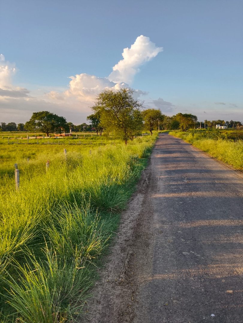 11 Katha Plot for Sale in Donaipur | Property ID 1074 | SONDHAN