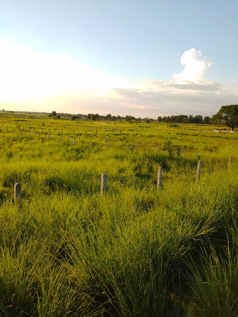 Property listing image: Plot, for sale, in Donaipur, Property ID 1075