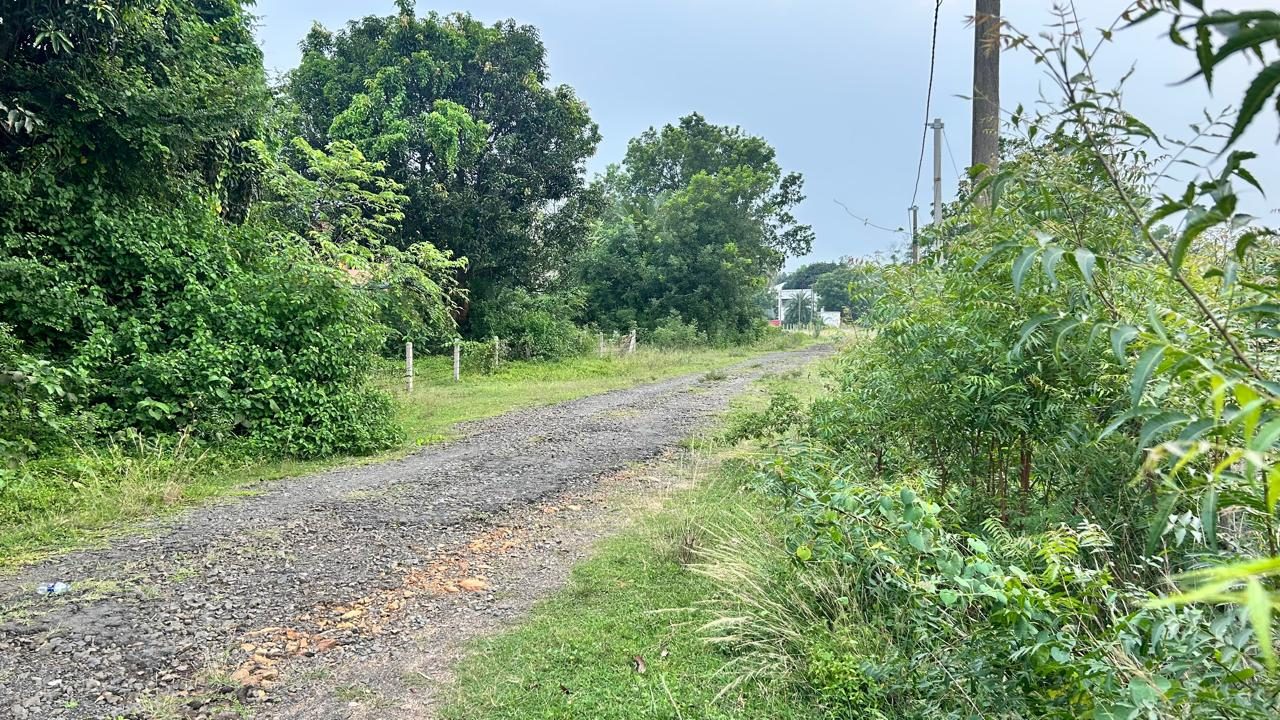 Residential Land for Sale in তপোবন, লায়েকবাজার মৌজা, শ্রীনিকেতন-শান্তিনিকেতন উন্নয়ন কর্তৃপক্ষ (SSDA) এলাকা | Property ID 1030 | SONDHAN