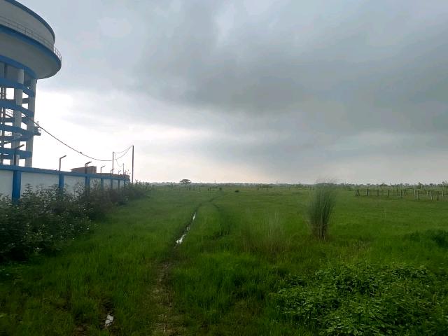 Property listing image: Residential Land, for sale, in Jambuni, Property ID 1112