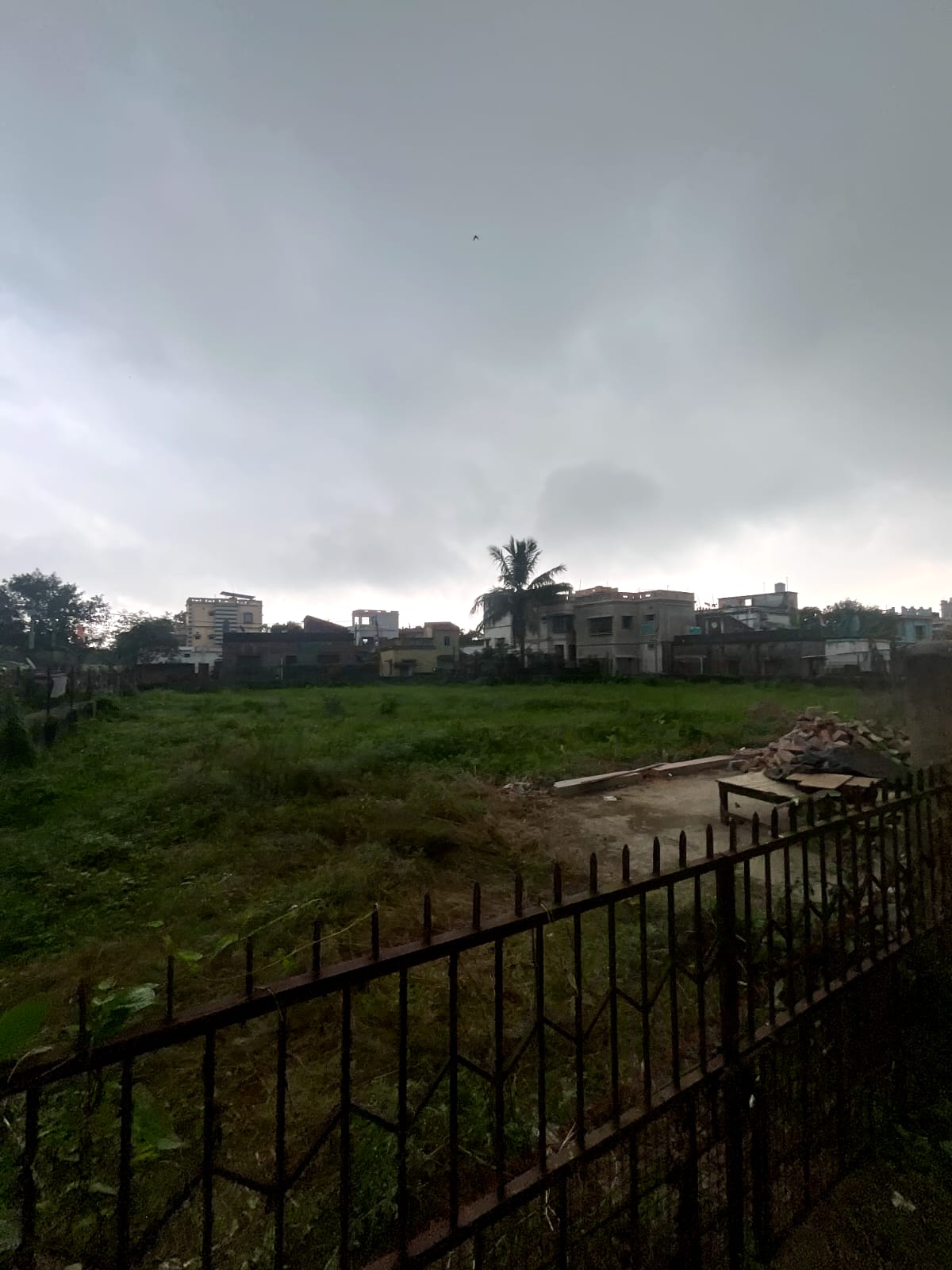 Photo 1 of 2: Residential Land, for sale, in Jambuni, Property ID 1113