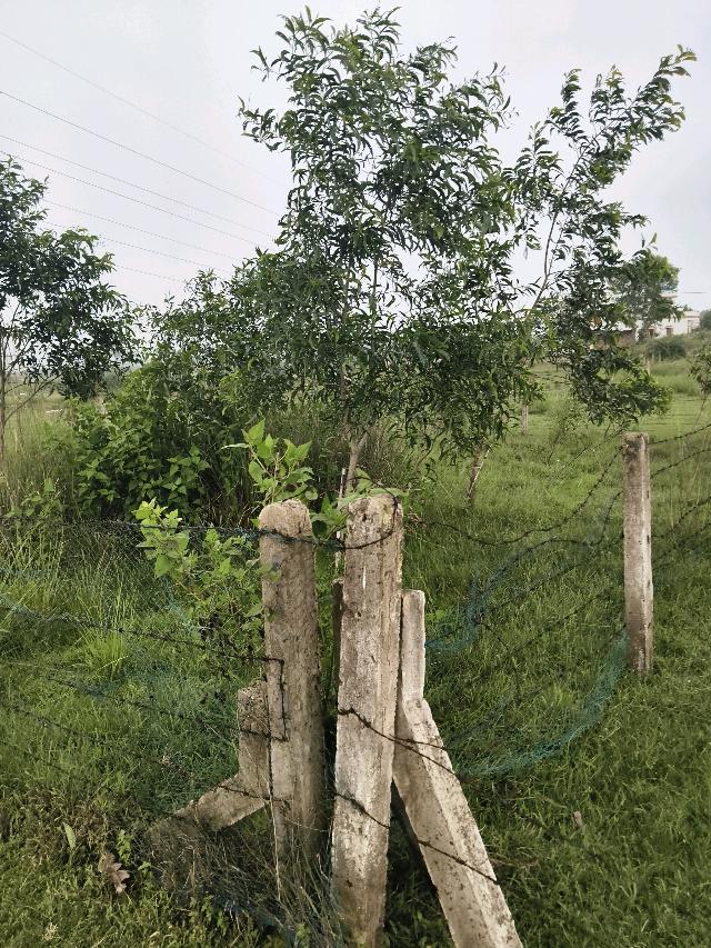 3 Katha Residential Land for Sale in Prantik | Property ID 1122 | SONDHAN