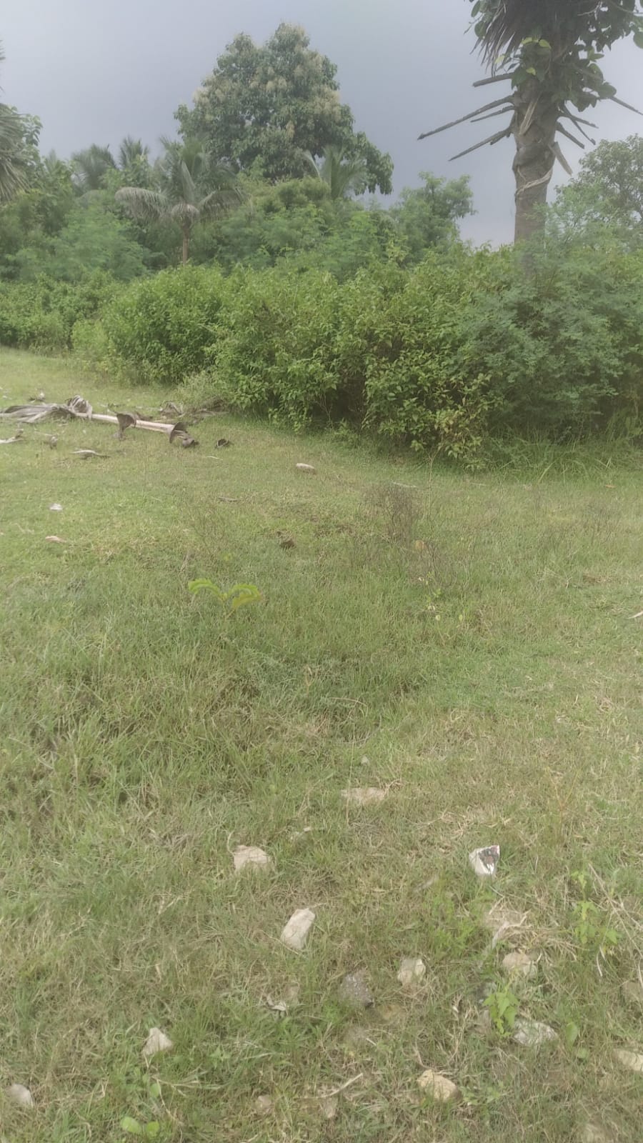 Photo 1 of 3: Residential Land, for sale, in Moon Resort Ar Kache, Property ID 1259