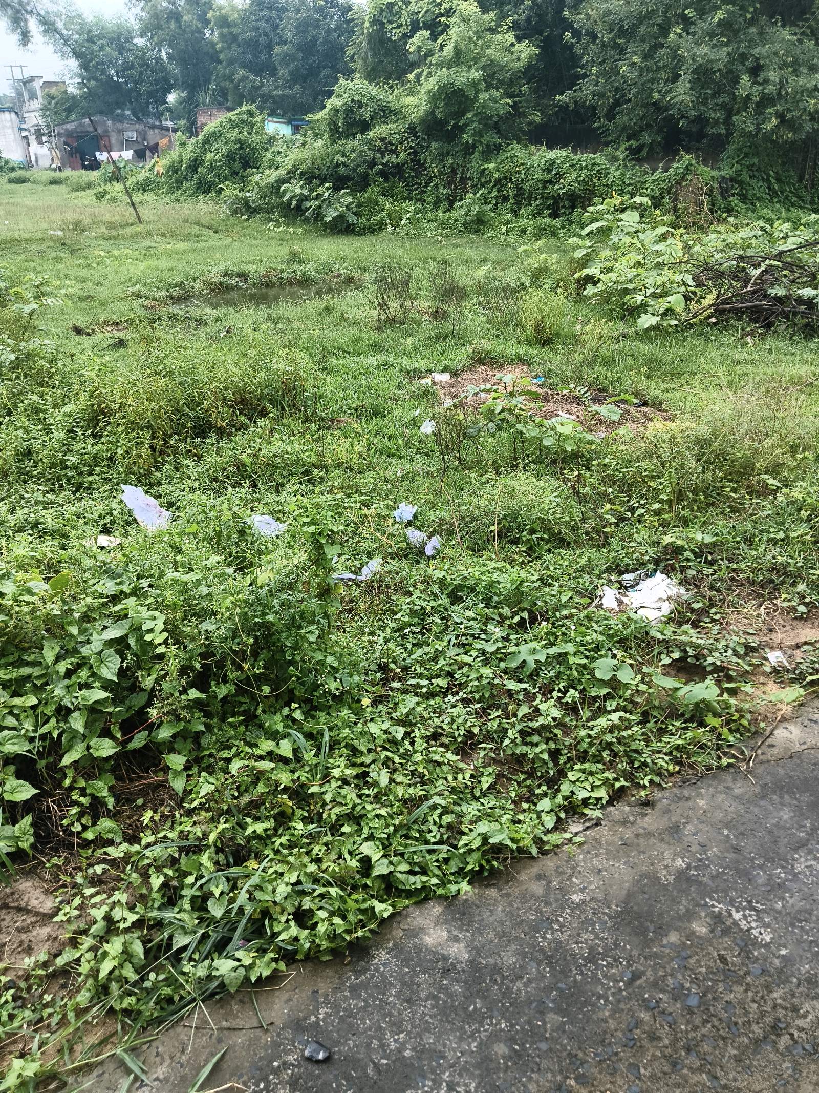 3 Katha Residential Land for Sale in Bolpur Town | Property ID 1265 | SONDHAN