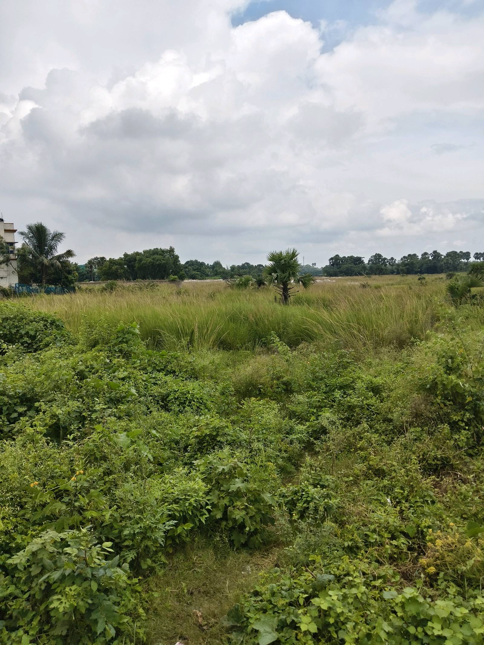 Residential Land for Sale in Sian, Bolpur | Property ID 1273 | SONDHAN
