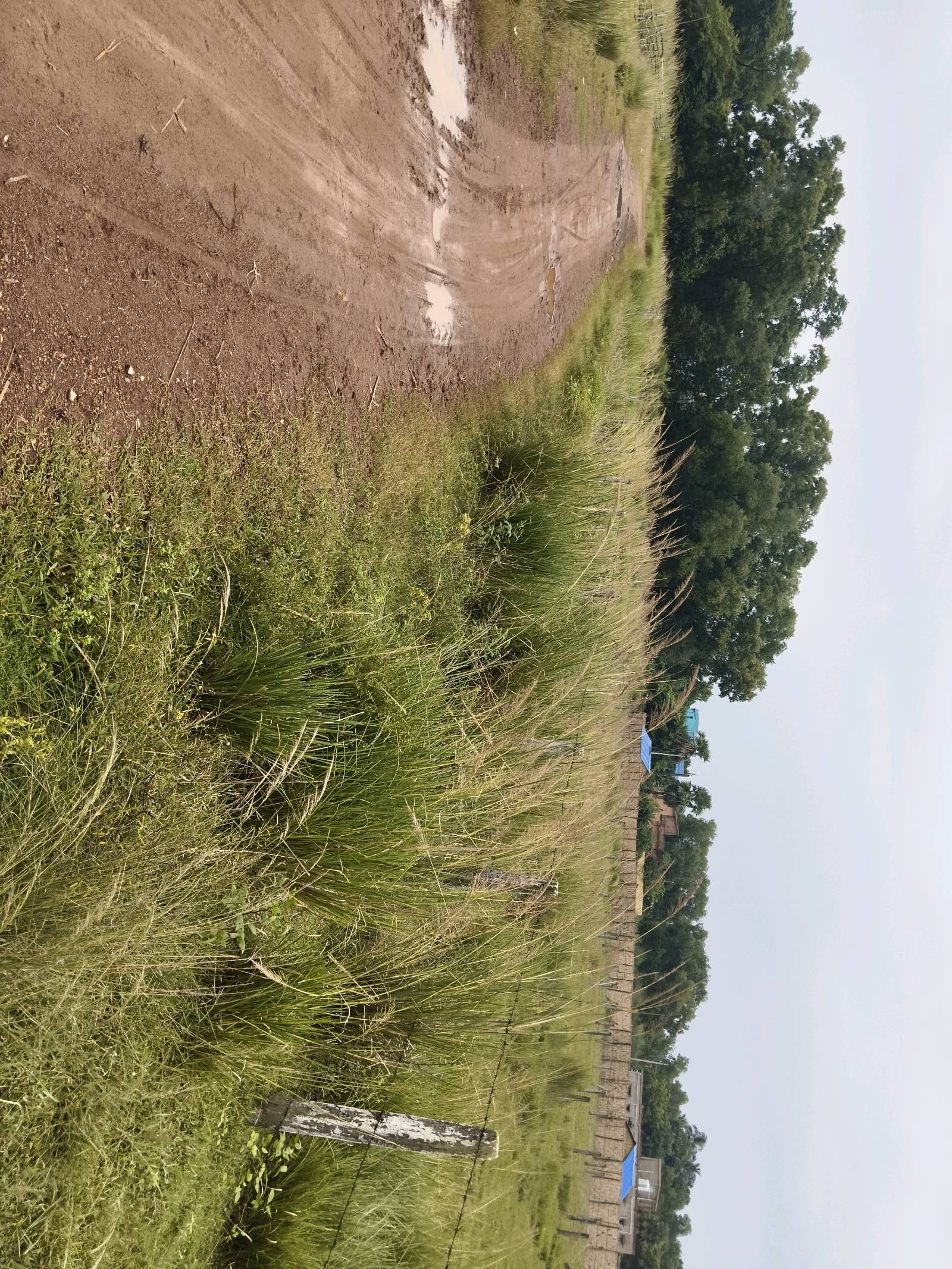 Residential Land for Sale in Sian, Bolpur | Property ID 1275 | SONDHAN