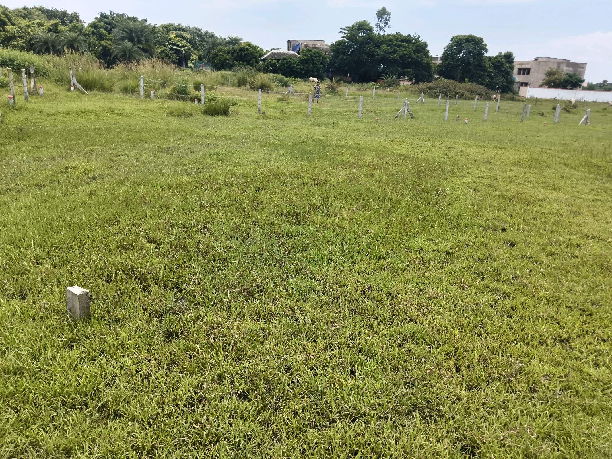 Plot for Sale in Sian, Bolpur | Property ID 1277 | SONDHAN