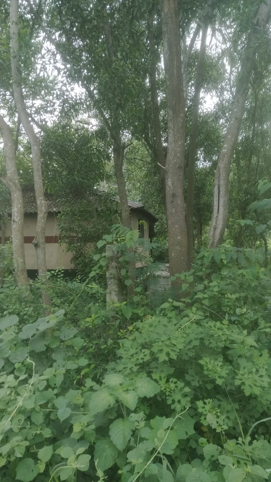 Agricultural Land for Sale in Raipur, Bolpur | Property ID 1279 | SONDHAN