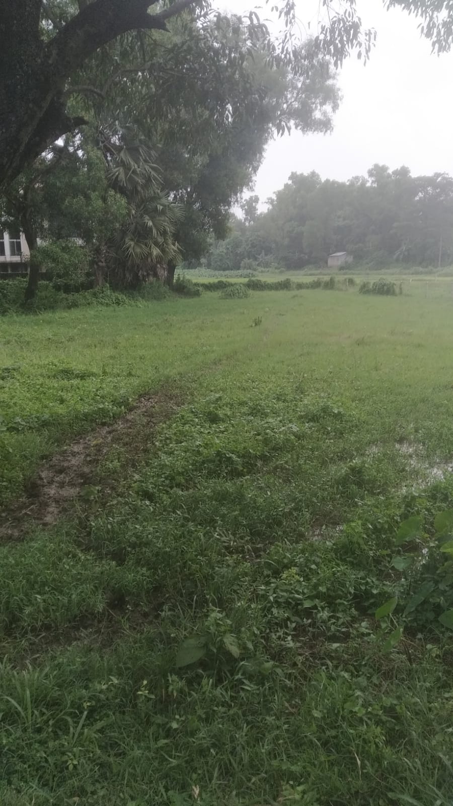 Plot for Sale in Shambati | Property ID 1280 | SONDHAN