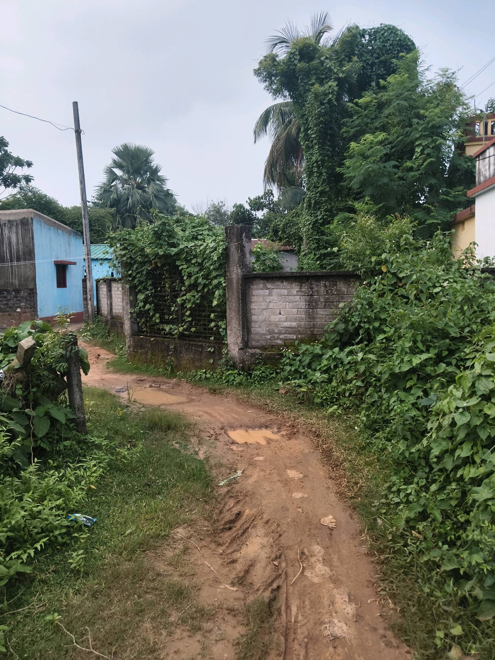 Residential Land for Sale in Prantik | Property ID 1281 | SONDHAN