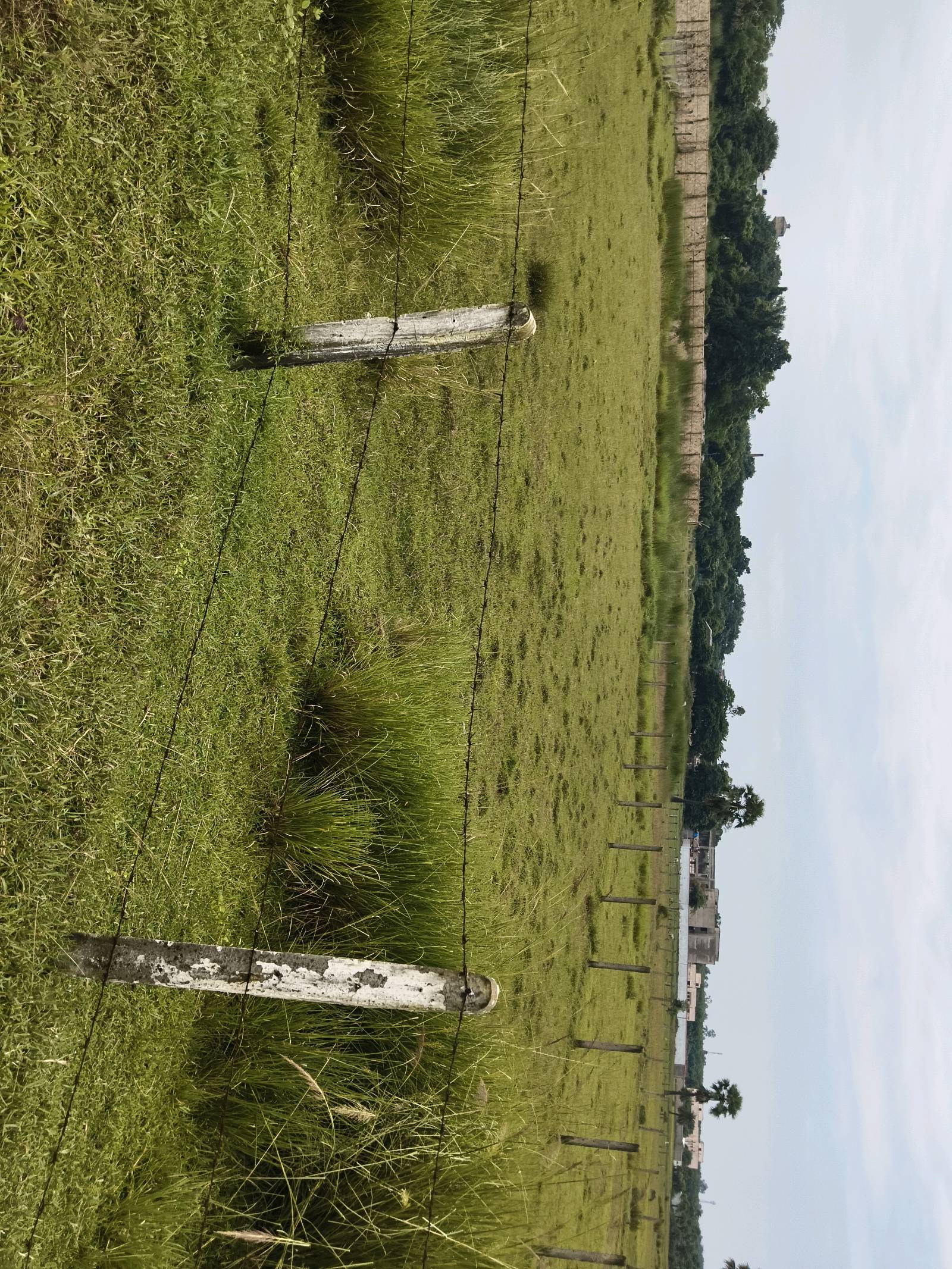 Residential Land for Sale in Sian, Bolpur photo 2