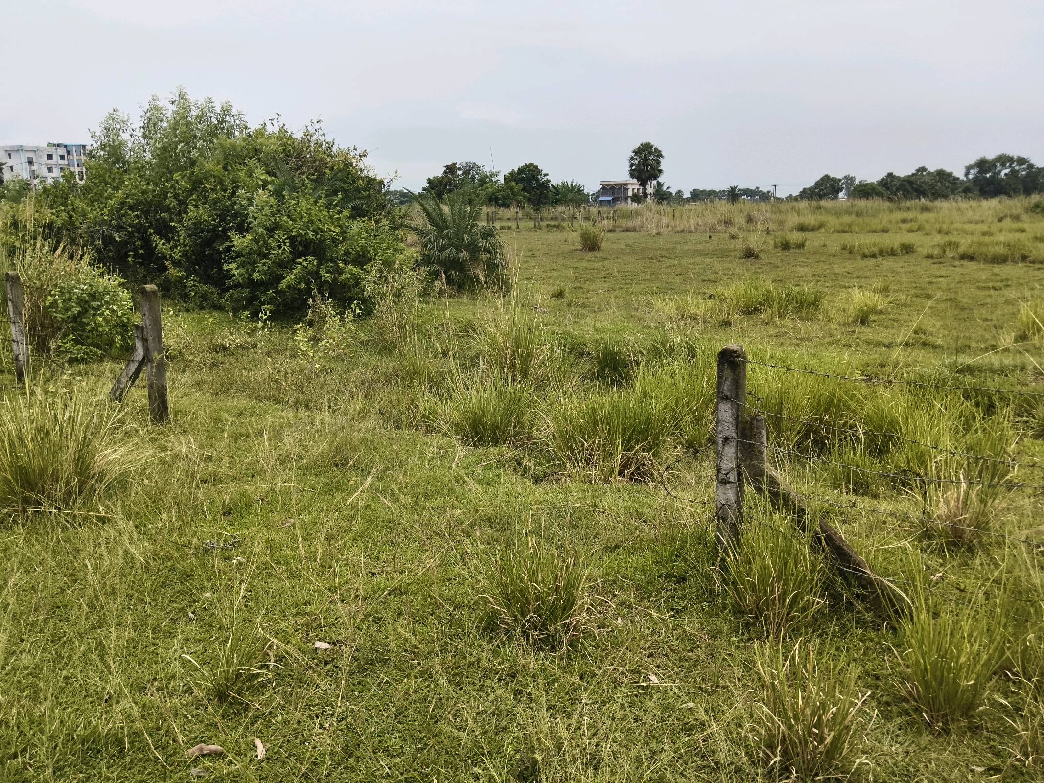 Residential Land for Sale in Sian, Bolpur photo 2