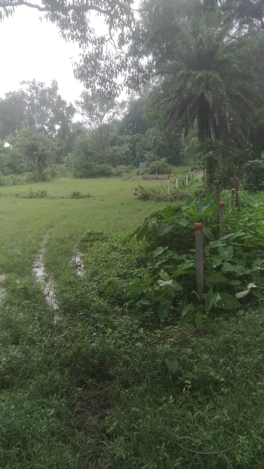 Plot for Sale in Shambati photo 2