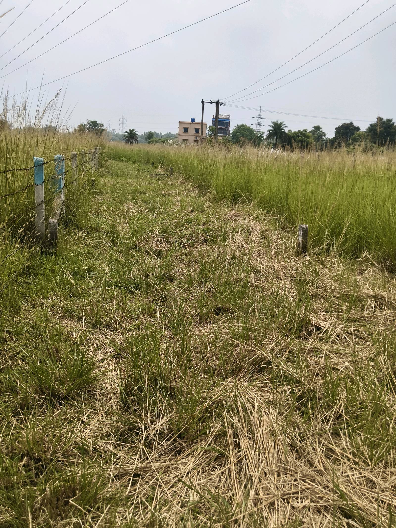 Residential Land for Sale in Prantik photo 2