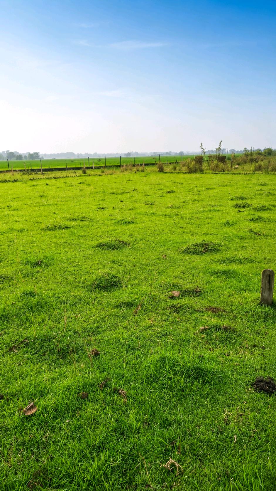 Residential Land for Sale in Location Available On Request photo 2