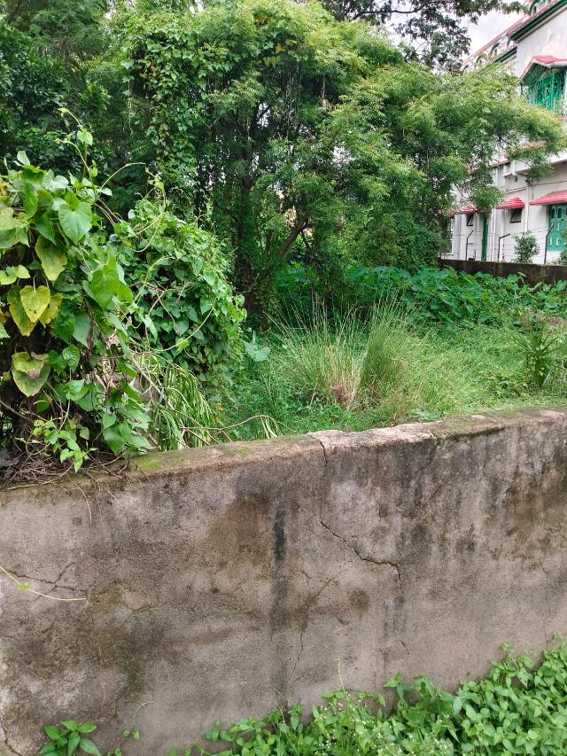 Property listing image: Residential Land, for sale, in Andrush Pally, Property ID 1118
