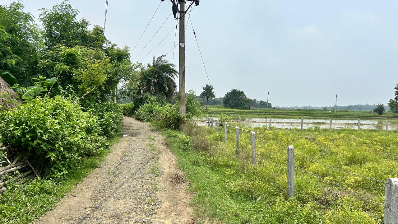 Photo 1 of 2: Agricultural Land, for sale, in Kamalakantapur, Property ID 1121
