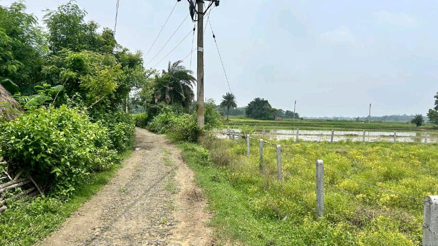 Property listing image: Agricultural Land, for sale, in Kamalakantapur, Property ID 1121