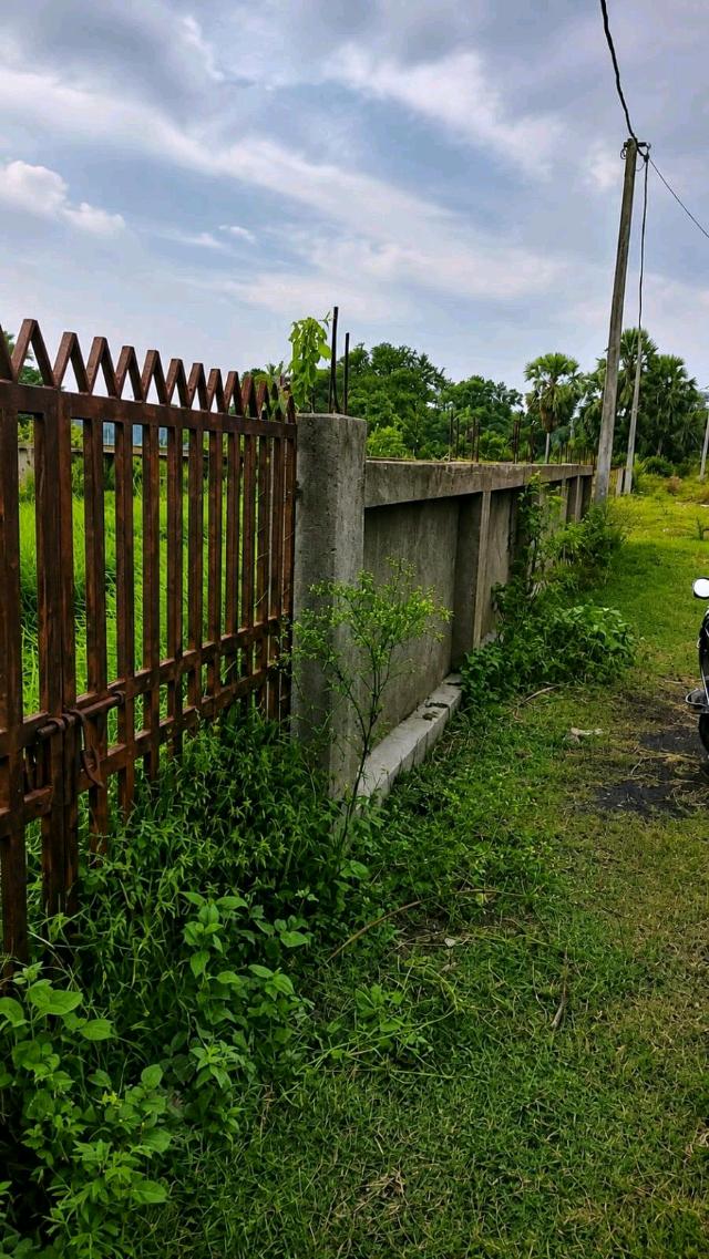 5.5 Katha Residential Land for Sale in Goalpara Kopai River | Property ID 1260 | SONDHAN