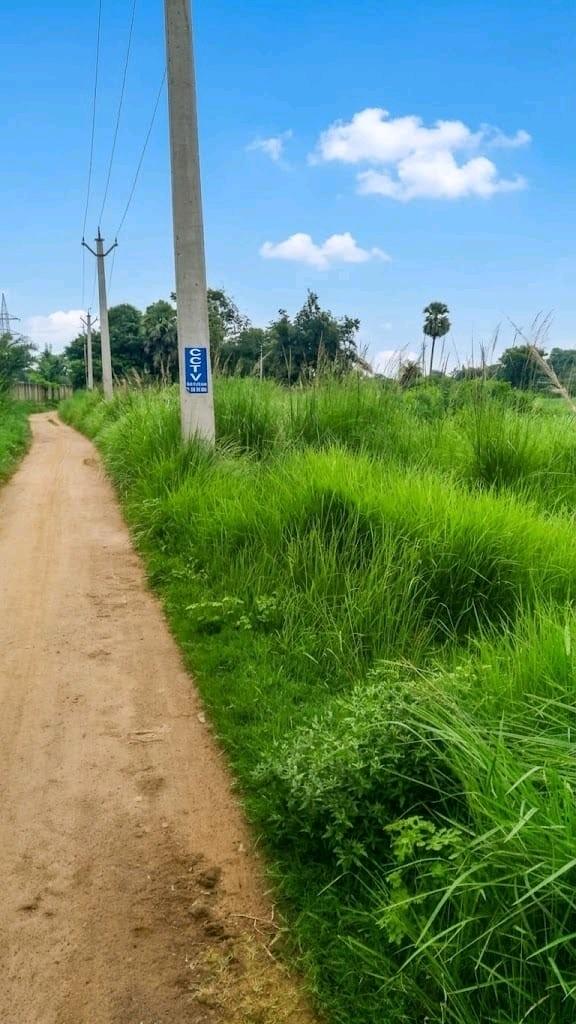 15 Katha Residential Land for Sale in Taltor | Property ID 1214 | SONDHAN
