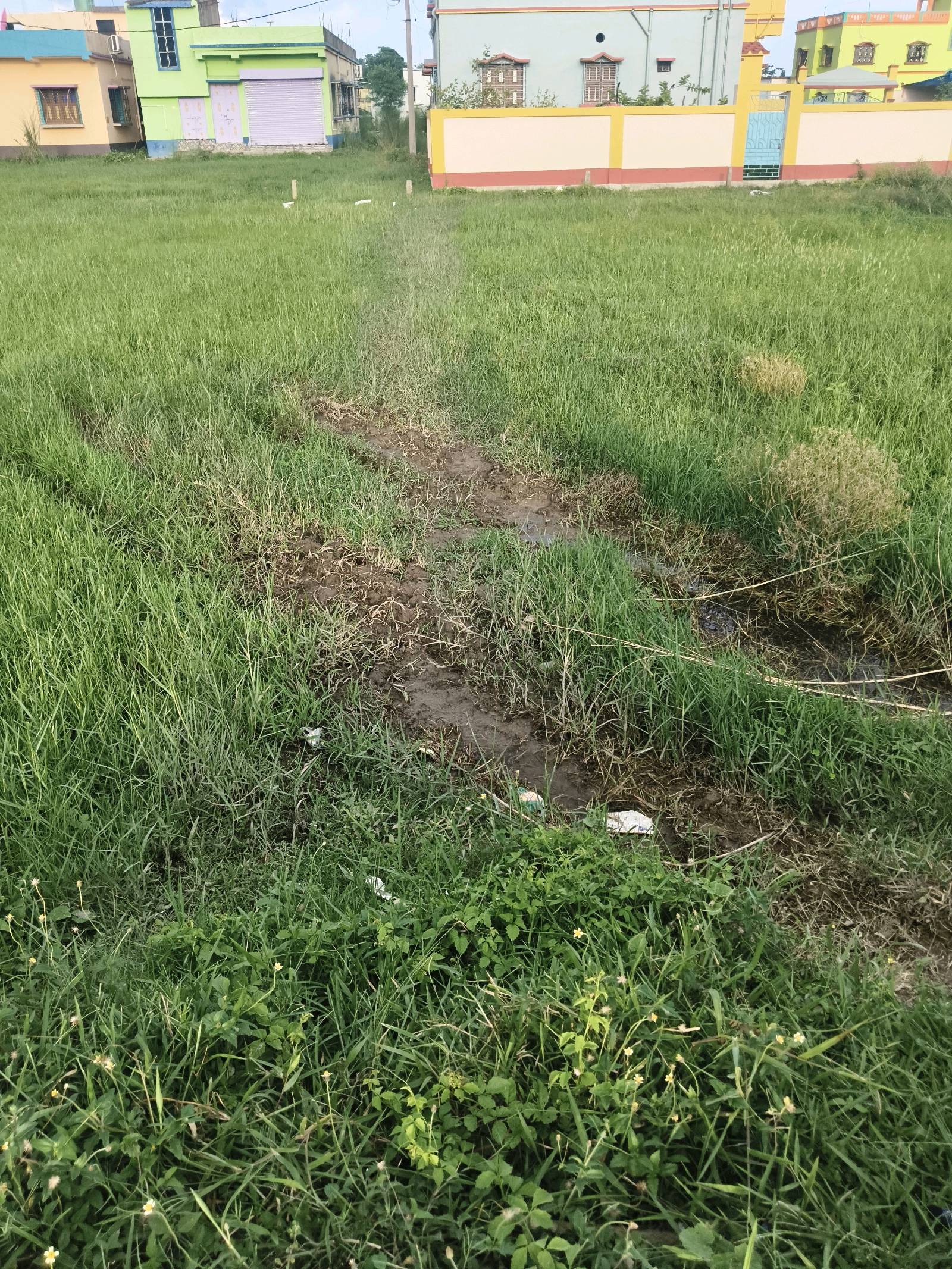 3.15 Katha Plot for Sale in Jambuni | Property ID 1228 | SONDHAN