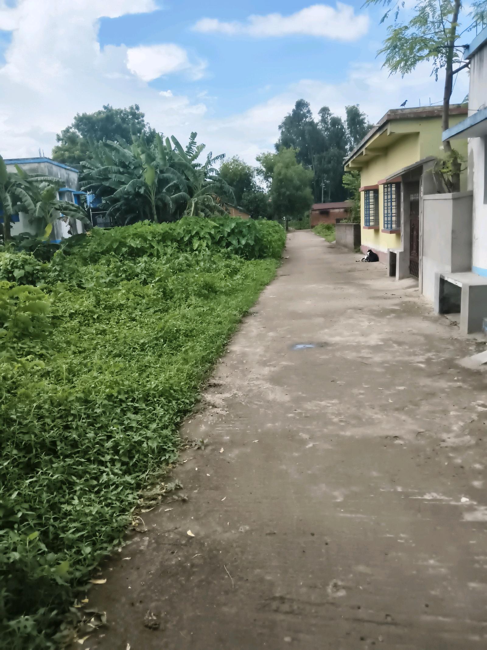 Photo 1 of 2: Residential Land, for sale, in Makarampur, Property ID 1251