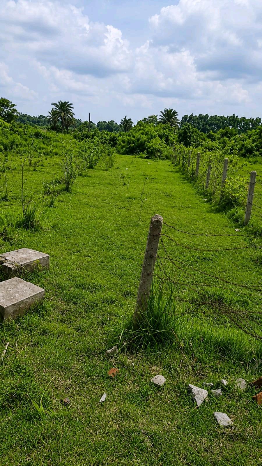 Commercial Land for Sale in Goalpara, Bolpur photo 2