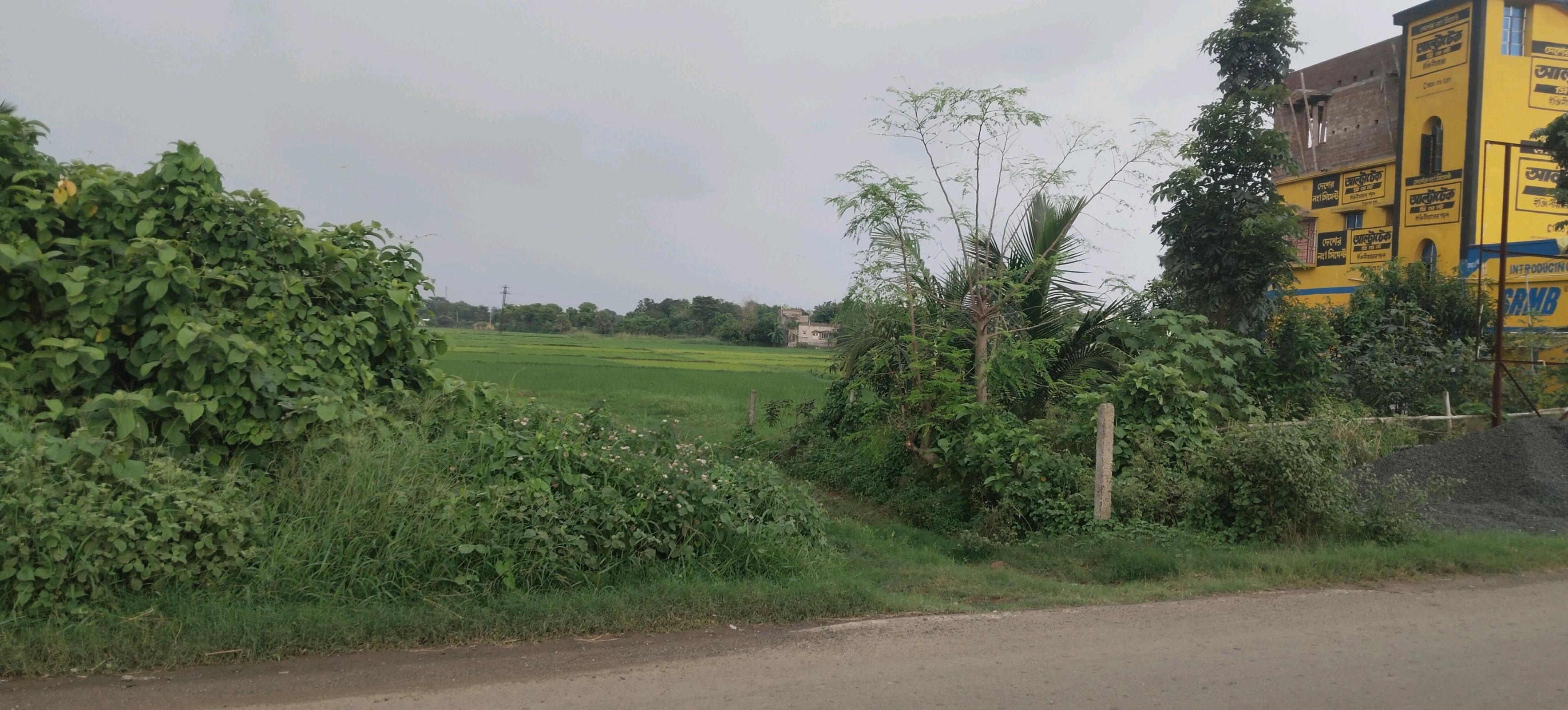Photo 1 of 3: Residential Land, for sale, in Kopai, Property ID 1253